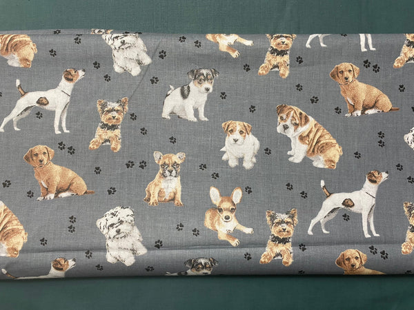 Cotton 100% Kids - beige and white dogs on a dark gray background